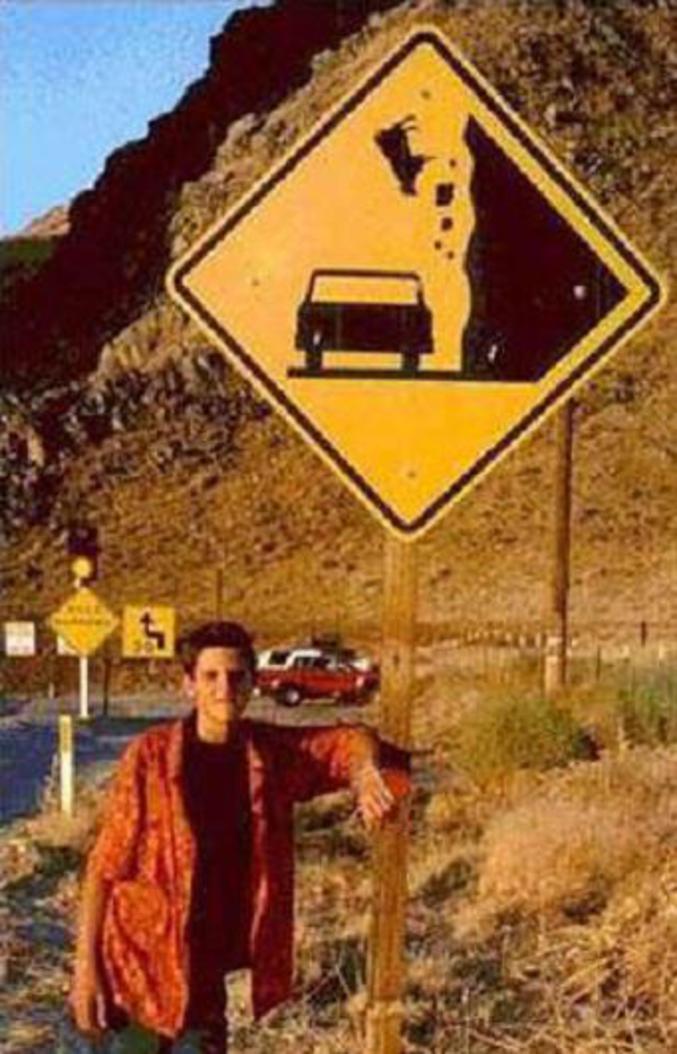 Un panneau avertissant que des vaches suicidaires se jettent du haut des falaises sur les voitures.