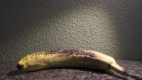 Expérience banane et brosse à dents
