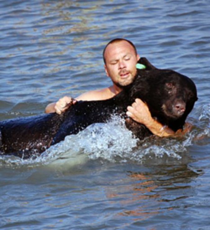 Un homme sauve un ours de la noyade.