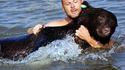 Sauvetage d'ours