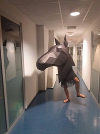 Un cavalier