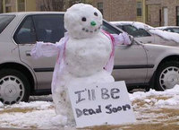 Snowman dead soon