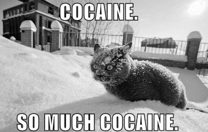 Tellement de cocaïne !