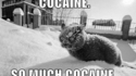 Cocaïne 3