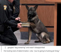 USA: Serment d'allégeance d'un chien