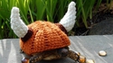 Une tortue viking
