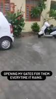Elle ouvre l’accès à son porche quand il pleut 