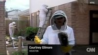 La maison des abeilles
