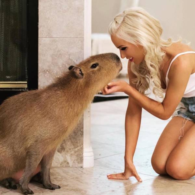 en tête à tête avec un capybara :)