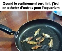 Quand le confinement sera fini