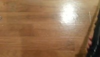 Sabre Taser