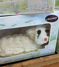 Gâteau au chocolat