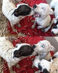 "Y'a quoi là dedans ?"