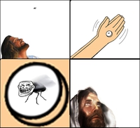Jésus ne pourrait pas faire de mal à une mouche... 