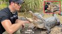 Nourrir ses petits animaux de compagnie le matin