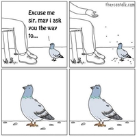 Excusez-moi, je cherche à aller à ...