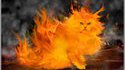 Fire Cat