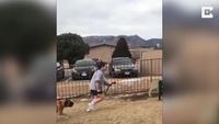 Entraîner son chien au parkour