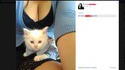 Un chat avec une chemise, c'est trognon!