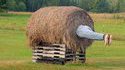 La ferme des célébrités