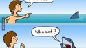 SHARK !