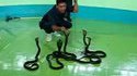 Charmeur de serpent