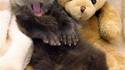 HEY !!!!!!