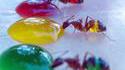 Expérience avec Jell'o