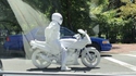 Motard albinos 