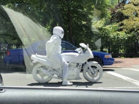 Motard albinos 