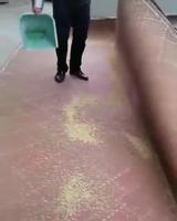 Asian level : 46 718