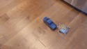 Course poursuite entre une voiture et une tortue