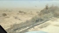 Migration de virevoltant