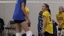 Cheat au volley-ball