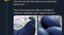 Grand coq noir