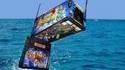 Flipper le dauphin