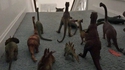Jurassic Park quat'