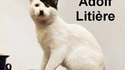 Pauvre chat...