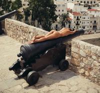 Un canon... oups pardon ! Deux canons !