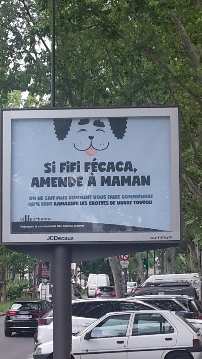 Faut-il en conclure que:
1. Les Français sont crados ? (oui, jamais vu une crotte sur un trottoir US).
2. Les hommes ramassent la merde et pas les femmes ?
3. Maman promène le toutou pendant que papa se la coule douce ?
4. La résponse d.
5. Obiwan Kenobi.