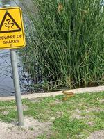 le hasard, comme par hasard !