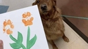 Boomer, peintre