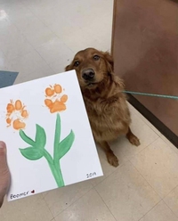 Boomer, peintre