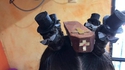 Coiffure tendance
