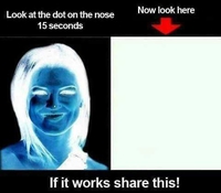 Un bouton sur le nez?