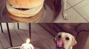Bon anniversaire !