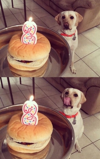 Bon anniversaire !