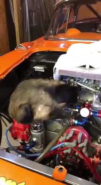 Derniers réglages moteur