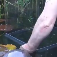 Le cube d’observation