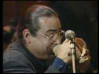 Musique avec des coquillages 